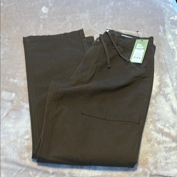 Goodfellow & Co Brown Cargo Pants - Picture 3 of 3
